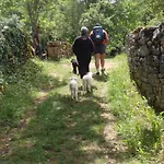 Les Roulottes Du Lot Bed and Breakfast