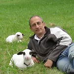 Bed and Breakfast Les Roulottes Du Lot