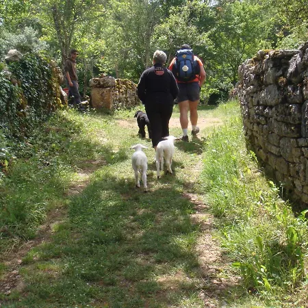 Les Roulottes Du Lot فندق مبيت وإفطار