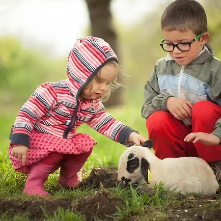 Les Roulottes Du Lot