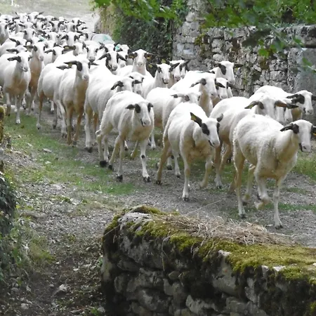 Les Roulottes Du Lot 3*