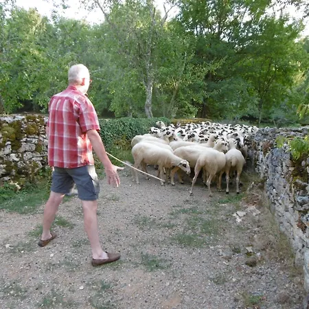 Les Roulottes Du Lot 住宿加早餐酒店