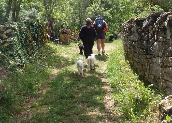 Les Roulottes Du Lot 住宿加早餐酒店