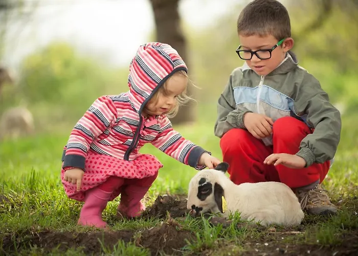 Les Roulottes Du Lot