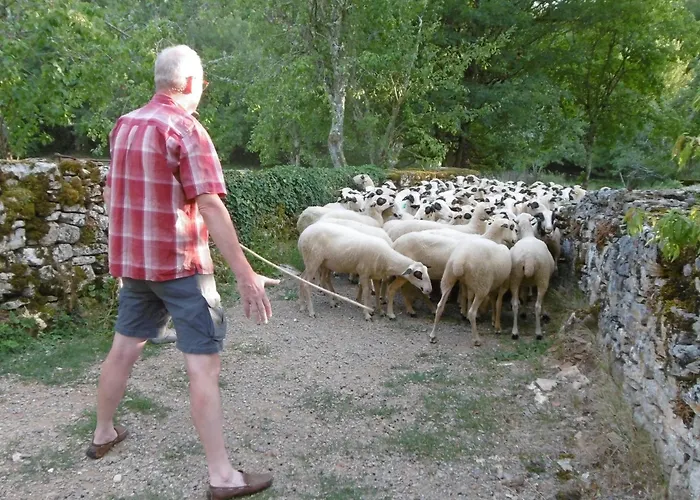 Les Roulottes Du Lot 住宿加早餐酒店